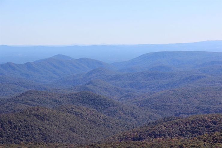brown mountain lights