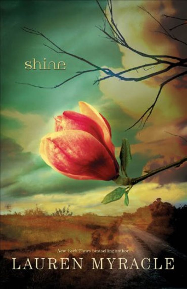 Shine Buy Shine at Amazon