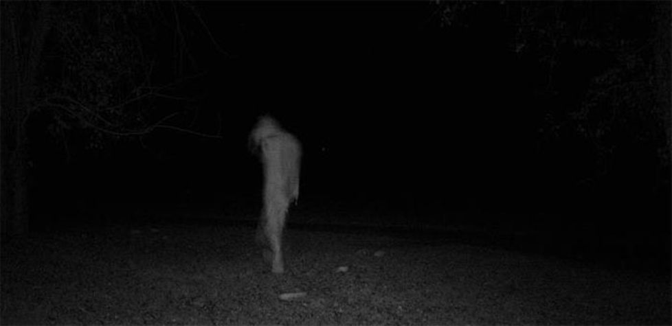 ghost pictures