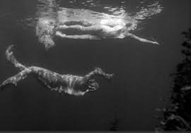 movies like the shape of water