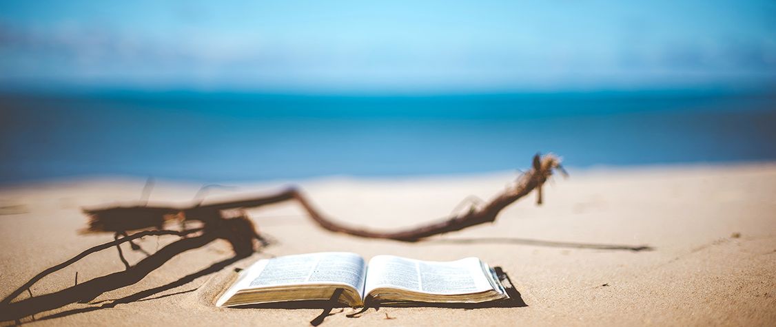 Book on the Beach
