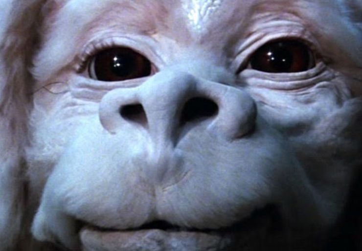best fantasy characters Falkor The Neverending Story