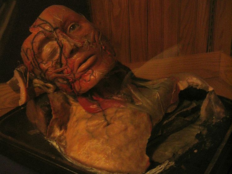 creepy weird museums