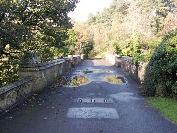 The Overtoun Bridge What Makes Dogs Jump to Their Deaths?