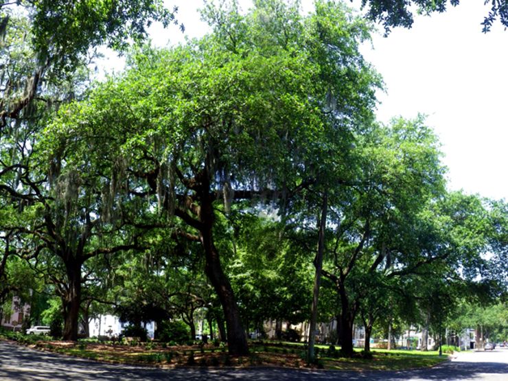 most haunted places in savannah