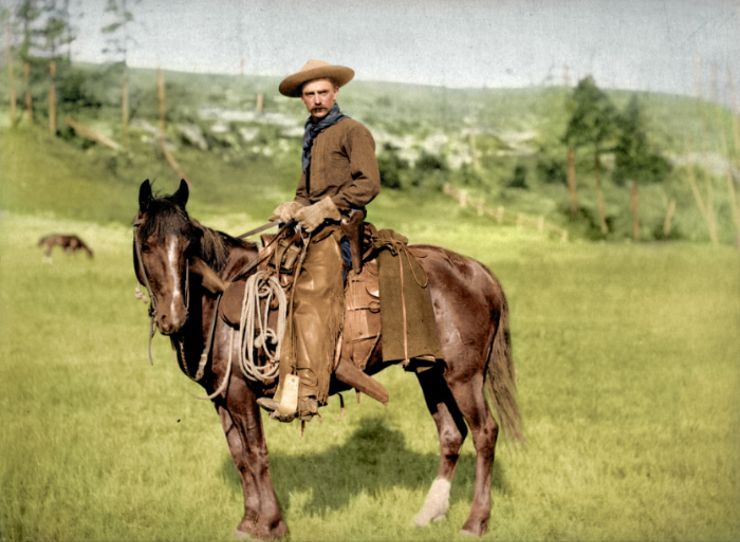 cowboy colorized