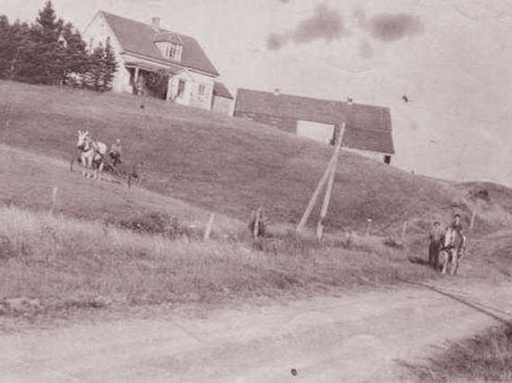 mary ellen spook farm caledonia mills