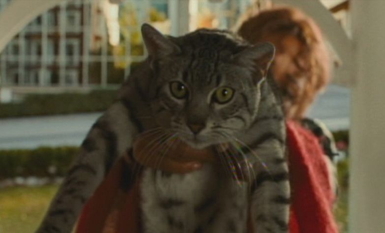 worst superhero movies ever Catwoman