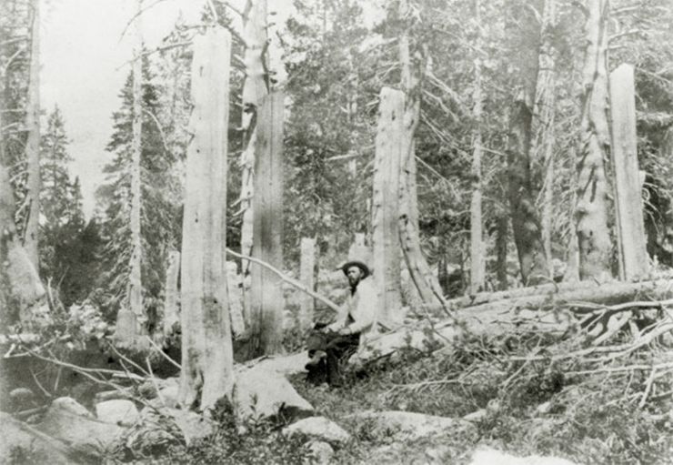 donner party