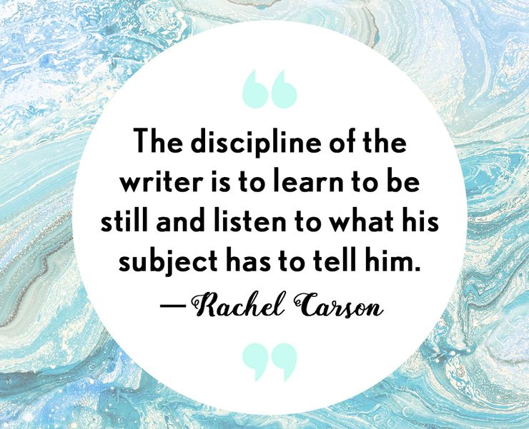 nanowrimo quotes