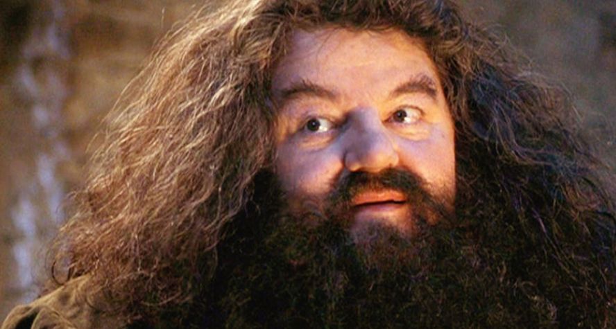 best fantasy characters Hagrid Harry Potter