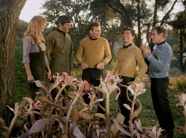hazards in star trek universe alien plants this side of paradise
