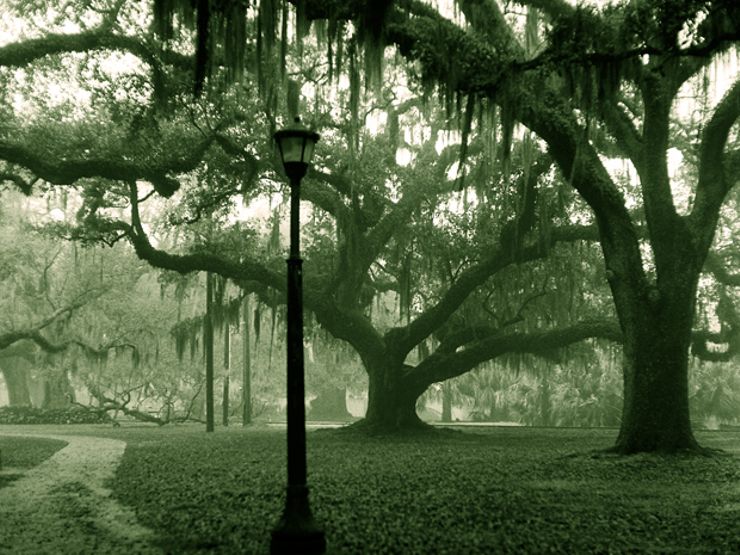 hook up spots in new orleans City park is as magical and unique as the city of new orleans inside guide to city park fishing you don't need a $50,000 fishing rig to hook up with a keeper. hook up spots in new orleans City park is as magical and unique as the city of new orleans inside guide to city park fishing you don't need a $50,000 fishing rig to hook up with a keeper.