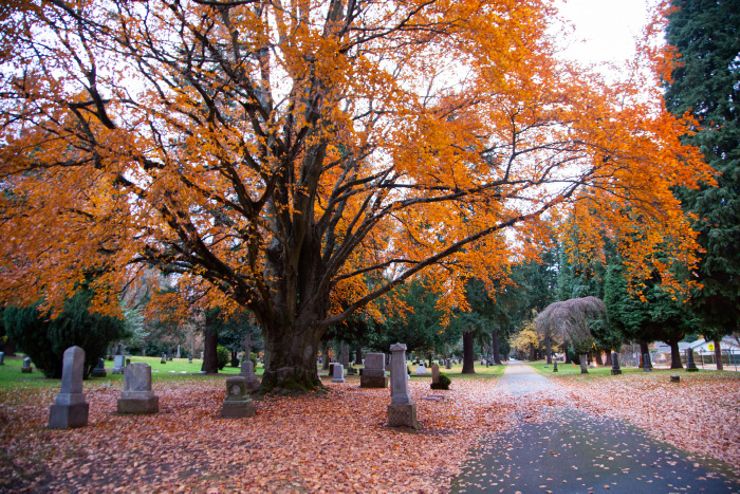 lone fir cemetery