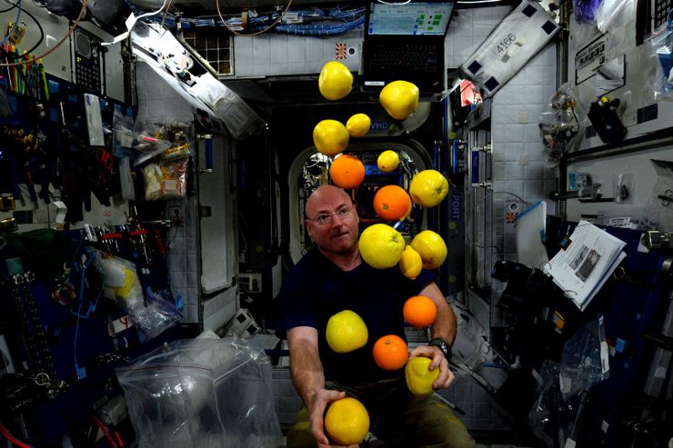 NASA twins study scott kelly ISS year in space
