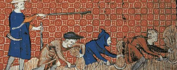 Depiction of socage on the royal demesne in feudal England.