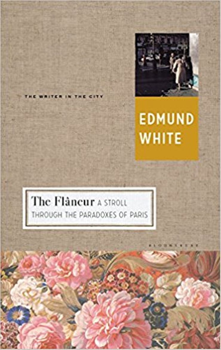 The Flâneur: A Stroll Through the Paradoxes of Paris Buy The Flâneur: A Stroll Through the Paradoxes of Paris at Amazon