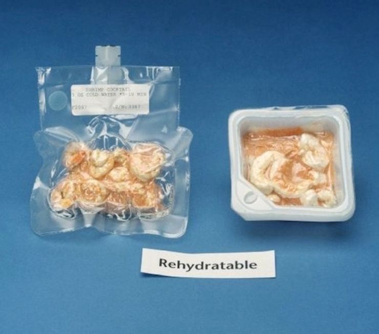 facts about the International Space Station facts shrimp cocktail