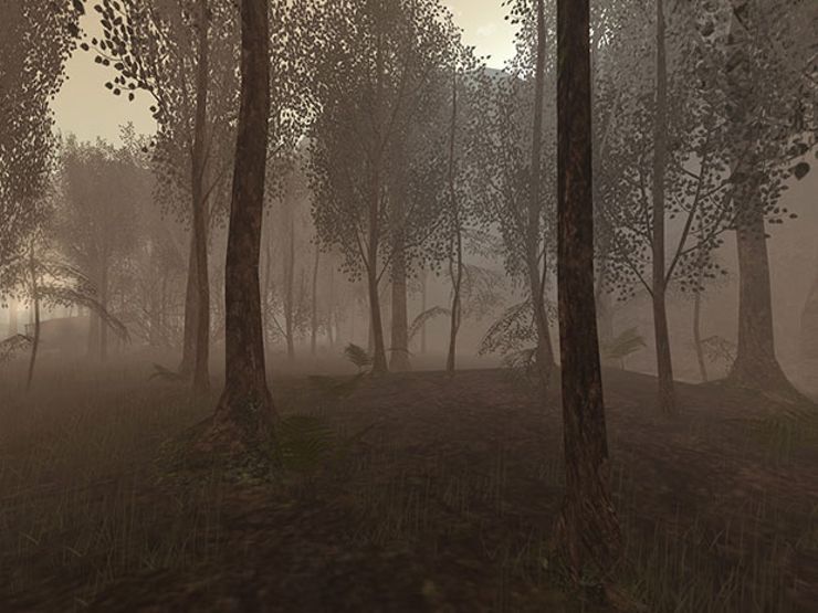 creepy camping stories
