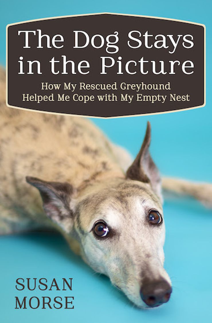 The Dog Stays in the Picture