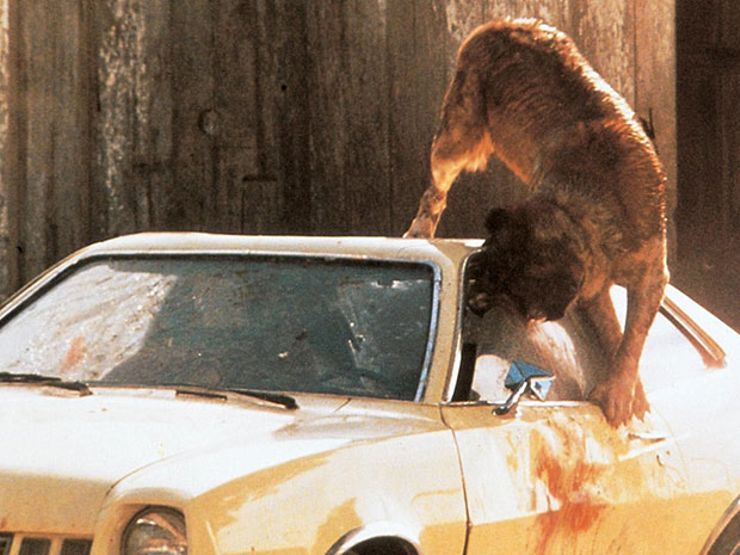 stephen king cujo