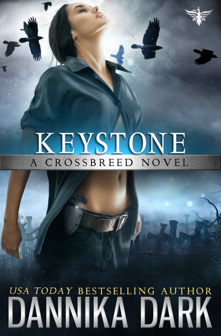 Keystone Buy Keystone at Amazon