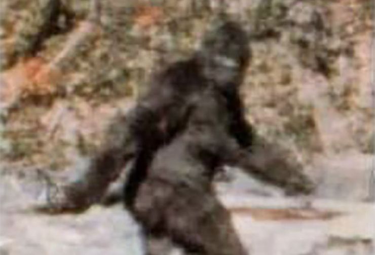 haunting yosemite park