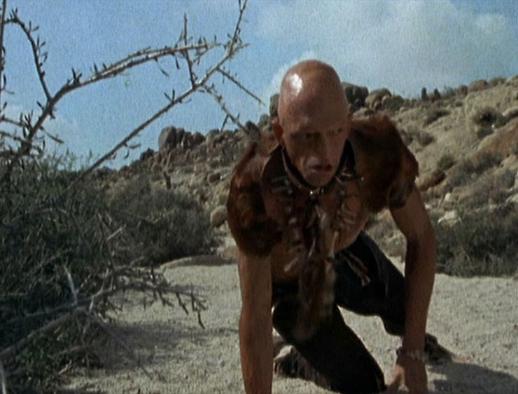 horror movies inspired by true stories