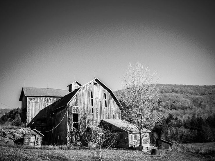 Murderously Baked in the Catskills