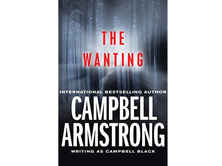 the wanting underrated paranormal