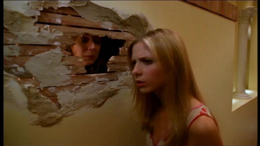 Buffy the Vampire Slayer