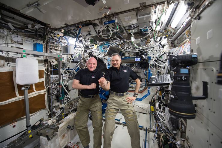 NSA twins study Scott Kelly Mikhail Kornienko Year in Space ISSS