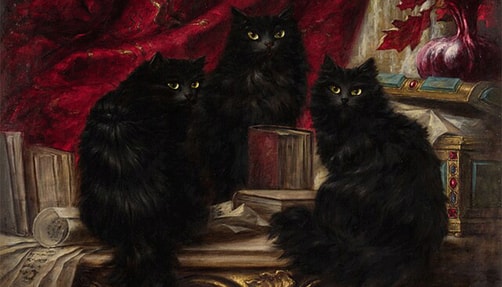 Illustration of three black cats.