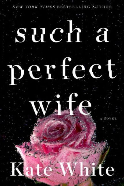 Such a Perfect Wife Buy Such a Perfect Wife at Amazon