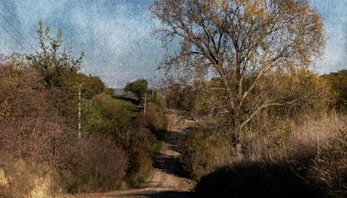 seven-sisters-road_haunted-places-in-nebraska Seven Sisters Road in Nebraska City, Nebraska