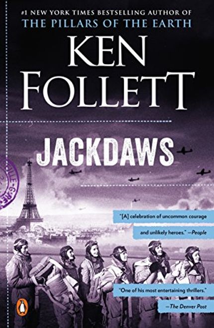 Jackdaws Buy Jackdaws at Amazon