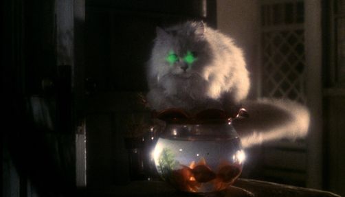 house_streaming-services-b-horror-movies house
