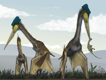 are dragons real Quetzalcoatlus