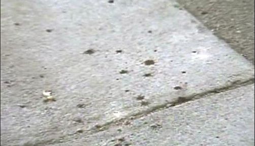 Blood on the sidewalk
