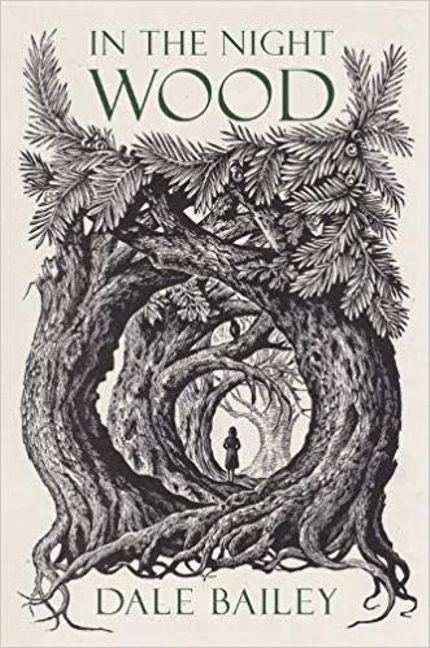In the Night Wood Buy In the Night Wood at Amazon