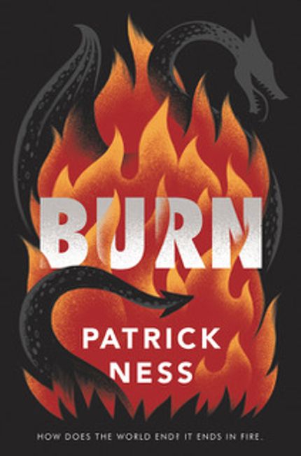 Buy Burn at Amazon