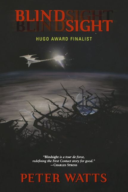 Blindsight Buy Blindsight at Amazon