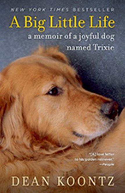 A Big Little Life Buy A Big Little Life at Amazon