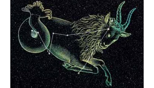 Image of The Seat Goat.