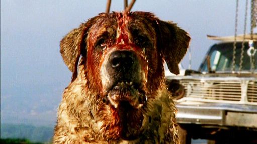 Cujo 1983 Cujo 1983