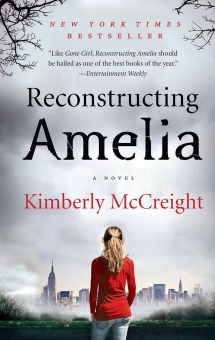 Reconstructing Amelia Buy Reconstructing Amelia at Amazon
