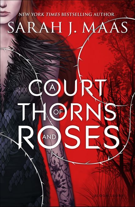 A Court of Thorns and Roses Series Buy A Court of Thorns and Roses Series at Amazon