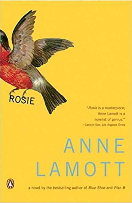 Rosie Buy Rosie at Amazon