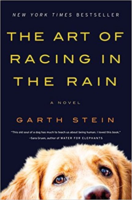 The Art of Racing in the Rain Buy The Art of Racing in the Rain at Amazon