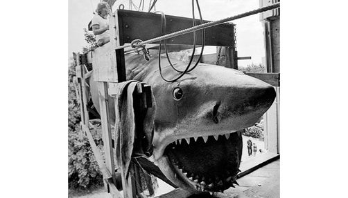 The fake shark from "Jaws"